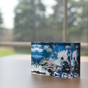 以下が含まれることがあります： 鮮やかな水中シーンが描かれた長方形の透明アクリルブロック。カラフルな魚、サンゴ、青い水の背景が含まれています。ブロックは木製の表面に置かれています。