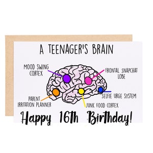Douceur de 16 ans, Amusante de 16 ans, Amusante de 16 ans, Amusante de 16 ans