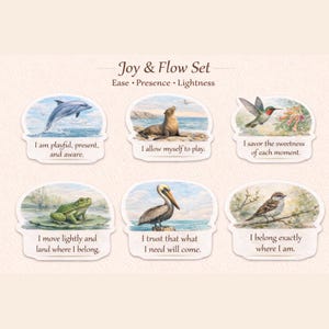 May include: A set of six illustrated cards with nature scenes and inspirational text. The cards feature images of a dolphin, sea lion, hummingbird, frog, pelican, and sparrow. The text includes phrases like "I am playful" and "I belong exactly where I am."