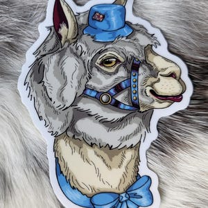Lama drammatico