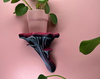 Oyster Mushroom Wall Shelf for a natural and nature inspired homedecor - perfect as a christmas gift or autumn decoration