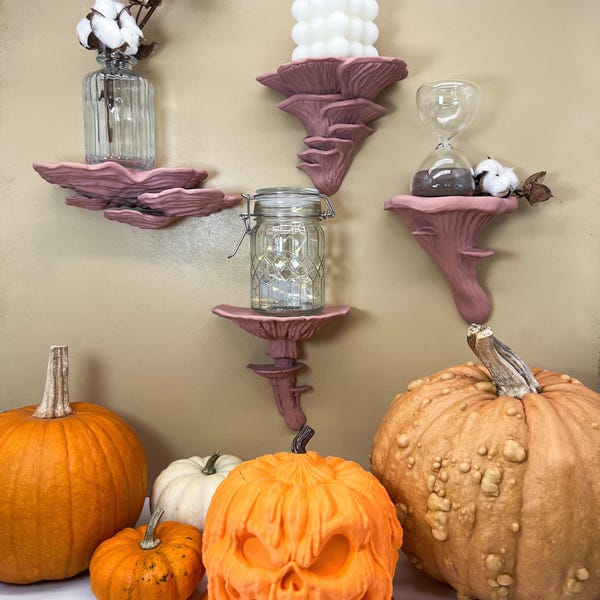 Paquete de hongos con especias de calabaza + tazón de calabaza gratis para tu decoración de otoño y Halloween: lleva el ambiente otoñal a tu hogar