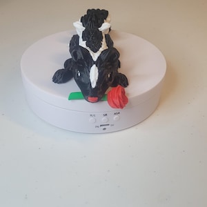 3D Rose Skunk