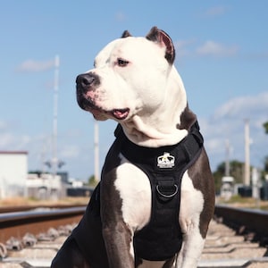 Tactical K9 Harness with Metal Buckles| No Pull Harness