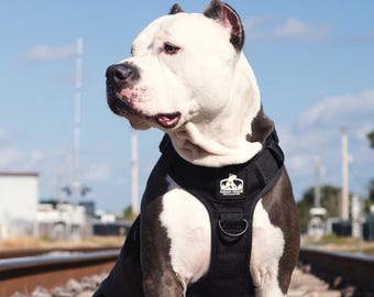 Verstellbares No Pull Geschirr für große Hunde | Sichere Kontrollgriff | Bully Rasse Geschirr