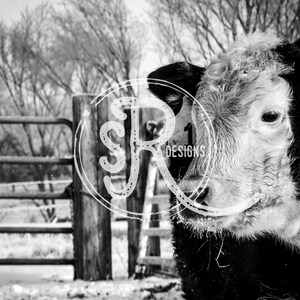 Number One - Photo Print - Digital Download