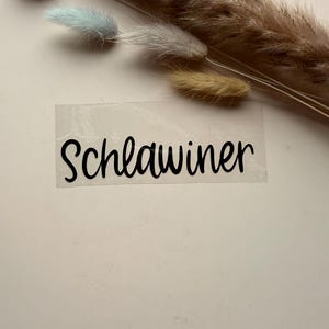 Könnte beinhalten: Ein klarer Aufkleber mit dem Wort "Schlawiner" in schwarzer Schreibschrift. Der Aufkleber befindet sich auf einer hellrosa Oberfläche, mit getrockneten Ziergräsern und Hasenschwänzen im Hintergrund.