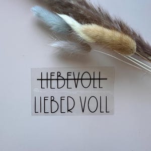 Puede incluir: Una pegatina transparente con el texto "LIEBEVOLL" tachado y reemplazado por "LIEBER VOLL" en negro, con flores secas decorativas en el fondo. Las flores son en tonos marrón, beige y azul.