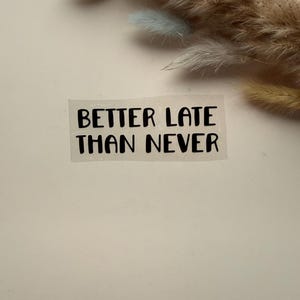 Könnte beinhalten: Ein rechteckiger Aufkleber mit dem Satz "BETTER LATE THAN NEVER" in fetten, schwarzen Großbuchstaben. Der Aufkleber befindet sich auf einem hellpfirsichfarbenen Hintergrund, mit getrocknetem Ziergras in der oberen rechten Ecke.