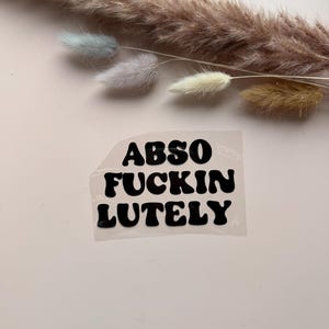 Bügelbild - Abso Fuckin Lutely – Sarkastischer Spruch | Iron-On Transfer für T-Shirt, Hoodie, Tasche | Funny Statement DIY Kleidung