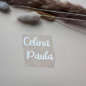 Może przedstawiać: Przezroczysta naklejka z imionami "Celina Paula" w białej, kursywnej czcionce. Naklejka znajduje się na jasnor&oacute;żowej powierzchni, z suszonymi trawami ozdobnymi w tle.