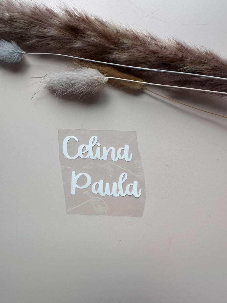Może przedstawiać: Przezroczysta naklejka z imionami "Celina Paula" w białej, kursywnej czcionce. Naklejka znajduje się na jasnor&oacute;żowej powierzchni, z suszonymi trawami ozdobnymi w tle.