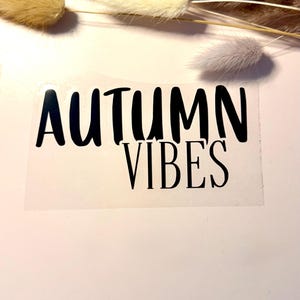 Könnte beinhalten: Ein transparenter Aufkleber mit dem schwarzen Text AUTUMN VIBES in einer fetten, serifenlosen Schrift. Der Aufkleber ist unter mehreren getrockneten, flauschigen, hellbraunen und blassblauen Ziergrasstängeln platziert, die horizontal angeordnet sind.