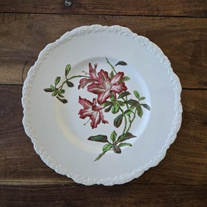 Antique Cauldon China - Etsy