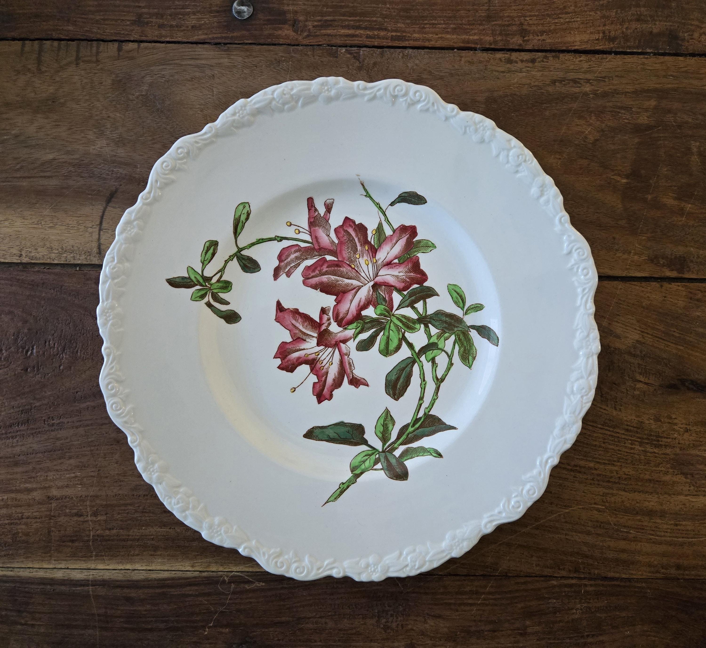 Cauldon england pottery - Etsy 日本