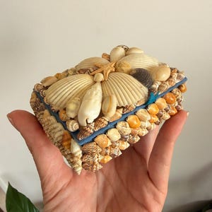 May include: A rectangular box covered in a variety of small, natural seashells in shades of tan, brown, and cream. The lid features larger fan-shaped shells and a small starfish, with a blue fabric trim visible along the edge of the box.