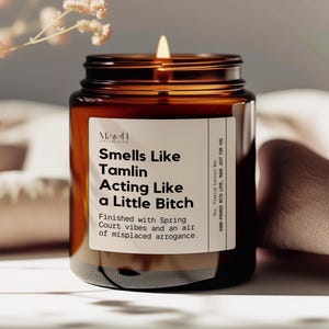 Tamlin&#39;s a Bitch Candle, Acotar Fan Gift Acomaf A Court of Thorns and Roses Merch, Velaris Candle, Book Lover Candle, Book Candle for Fan