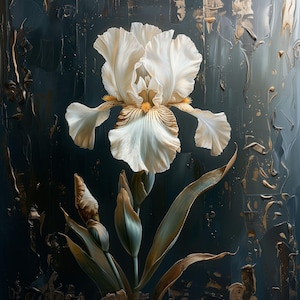 May include: A white iris flower with a yellow center, painted in a realistic style against a dark blue background with gold accents.