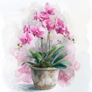 Pink Orchids in a Beautiful Plant Pot | Light Background | Watercolour Painting | Botanical Illustration Print | Digital Download