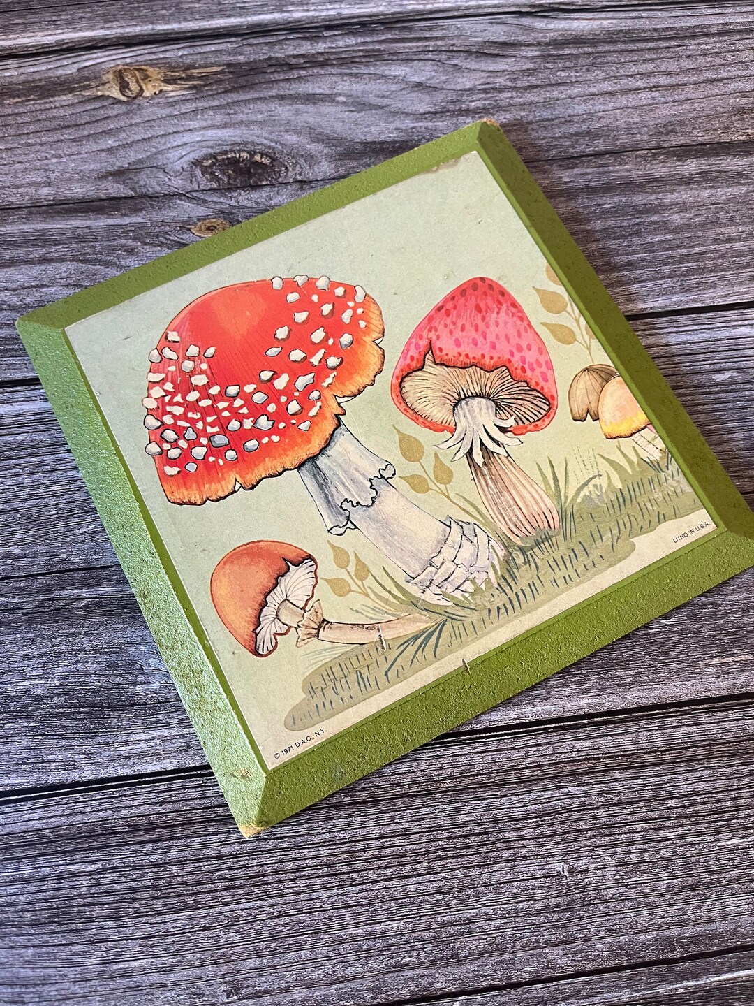 Vintage Mushroom Wall Hanging Decor, Wall Plaque Etsy