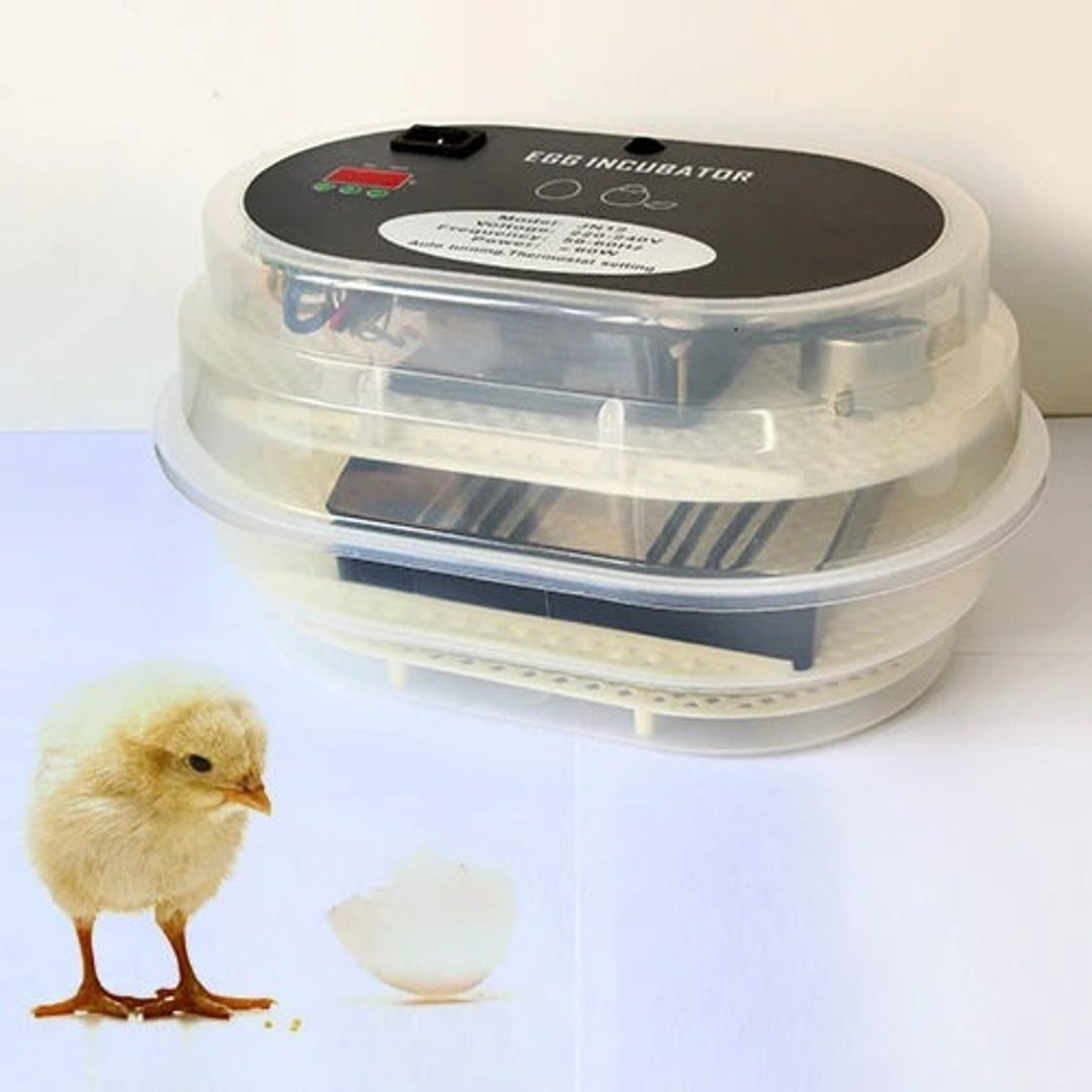 JANOEL Digital 12 Eggs Incubator Poultry Turner Thermometer Kit Fully Automatic Etsy
