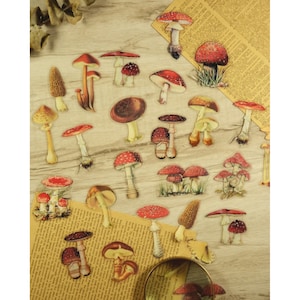 40 Pilz Aufkleber | Naturinspirierte Designs für Planer, Scrapbooks, Journals und DIY Craft Projekte | Cottagecore Ästhetik
