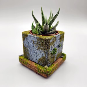 May include: A square, stone-textured planter with a small succulent plant. The planter is gray with moss and sits on a matching base. The succulent has green and white speckled leaves. The overall design evokes a rustic, natural aesthetic.