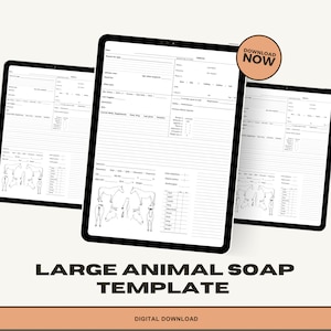 Equine SOAP Template (digital download)