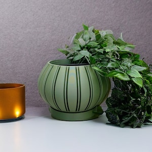 Planter / Indoor Plant Pot