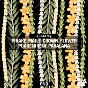 Vertical Pikake Maile Crown Flower Puakenikeni Pakalana Lei Png, Tropical Flower Png, Pattern Digital Download, Seamless Pattern, PNG File