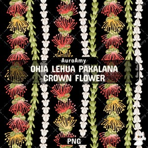 Curve Ohia Lehua Pakalana Crown Flower Lei Png, Tropical Flower Png, Lei Pattern Digital Download, Seamless Pattern, PNG File