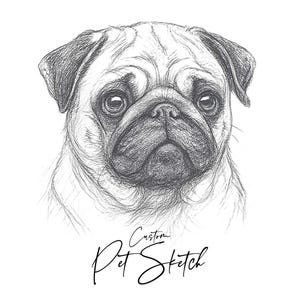 Custom Pet Portrait Sketch – Personalized Dog or Cat Drawing from Photo – Hand Drawn Digital Illustration Memorial Gift