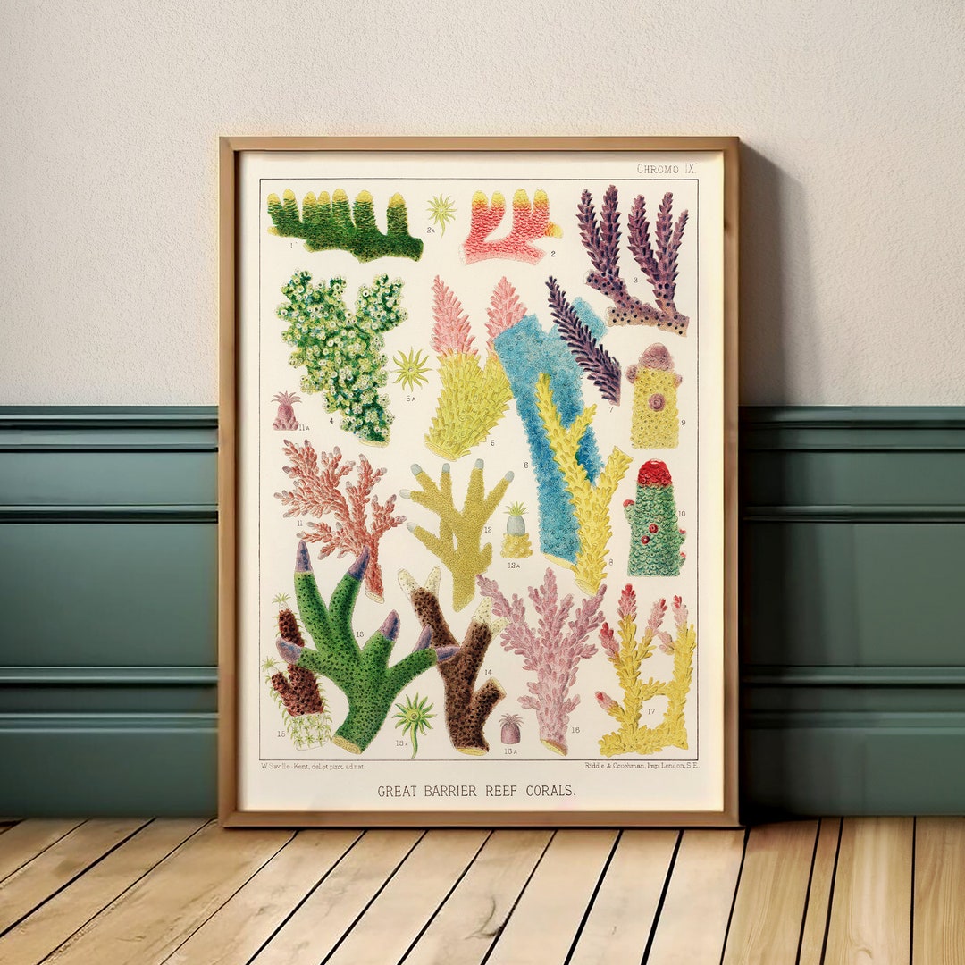 Sea Life Theme Art, Vintage Sea Life Poster, Ocean Art Print, Sea Life ...