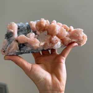 Op de afbeelding: Een natuurlijk mineraal specimen met perzikkleurige kristallen gegroepeerd op een basis van grijze en heldere kristallen. Het mineraal wordt in een hand gehouden tegen een neutrale achtergrond. De kristalformatie heeft een textuur.