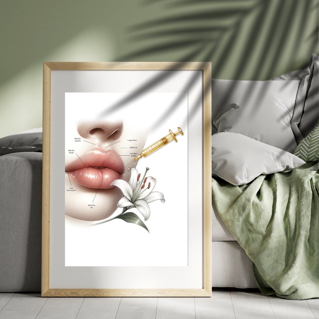 Lip Anatomy Art, Lip Filler, Lip Anatomy Print, Lip Anatomical Poster