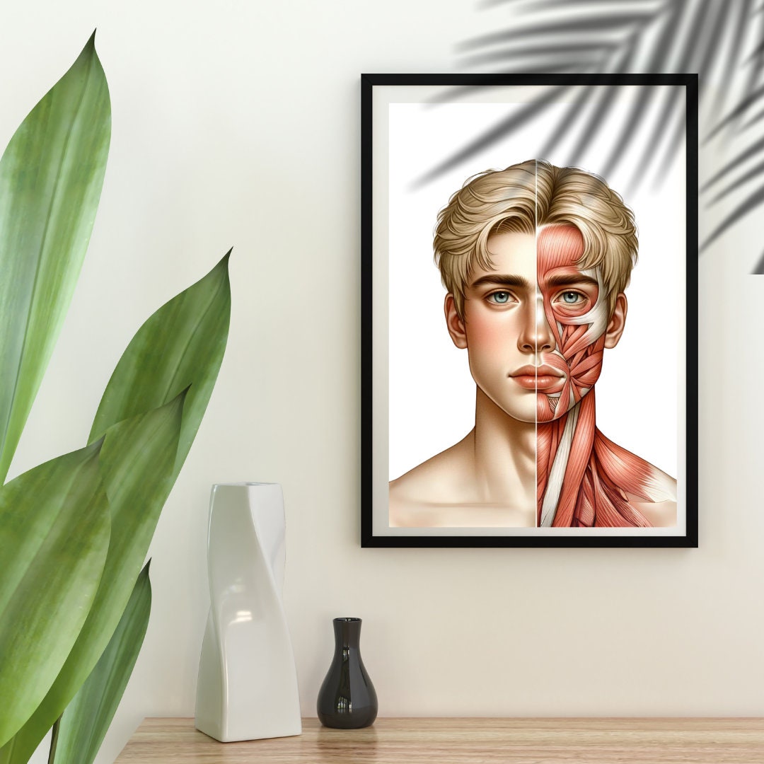 Facial Anatomy Art, Face Anatomy Poster, Facial Filler, Facial Muscles