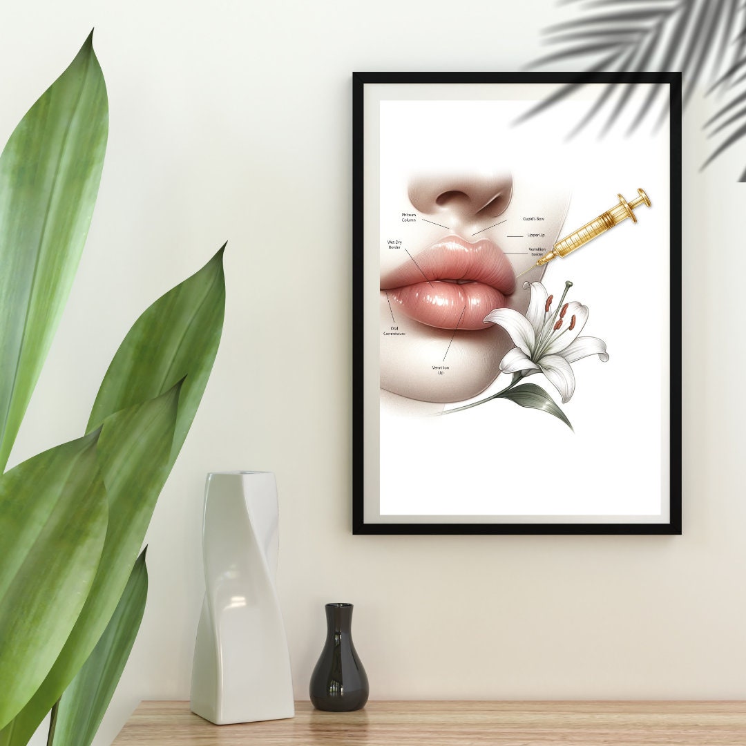 Lip Anatomy Art, Lip Filler, Lip Anatomy Print, Lip Anatomical Poster