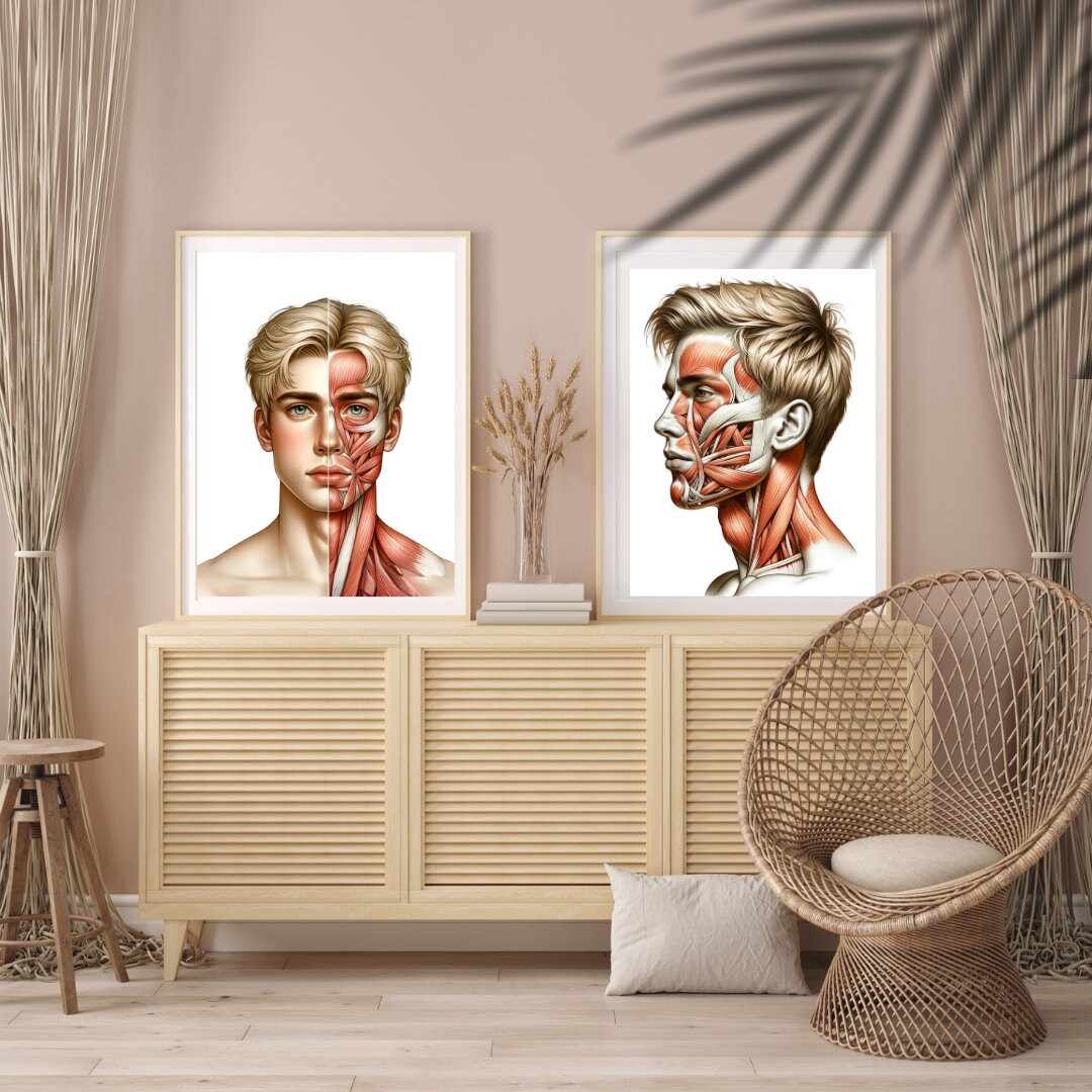 Facial Anatomy Art, Face Anatomy Poster, Facial Filler, Facial Muscles