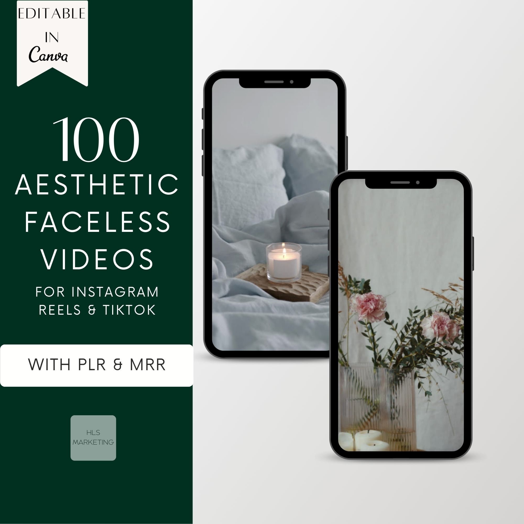 100 Faceless Reels Tiktok Videos With PLR &amp; MRR, Aesthetic Minimalist Faceless Instagram Done ...