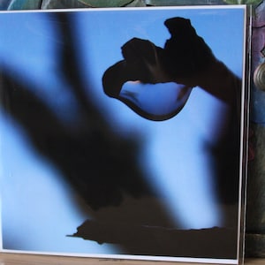 オリジナルの写真入り空白グリーティング カード。自然写真。自然の芸術。誕生日。ありがとう。お悔やみ。