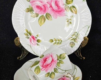 demitasse mocka cup saucer and cake plate Vintage Collectible Shelley “Rambler Rose” Pink Rose with Gold Trim Bone China England,
