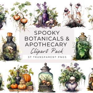 Boticário Clipart,Poções Mágicas Clipart,Poções De Halloween Clipart,Óleo De Ervas Clipart,Plantas De Halloween Clipart png,Frascos De Poções Clipart