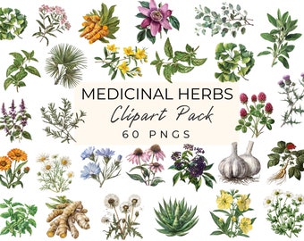 Medicinal Herbs Clipart, Herbs Clipart png, Medicinal Plants Clipart, Herbal Remedies png, Herbal Medicine,Garden Herbs png, Commercial Use