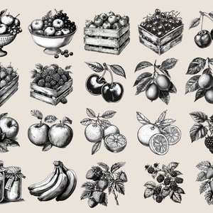 May include: A collection of vintage illustrations of various fruits and berries, including apples, cherries, lemons, oranges, strawberries, raspberries, and bananas. The illustrations are in black and white and have a detailed, realistic style.