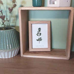 Origanum Vulgare Herbarium - botanical frame - dried flowers - natural decoration - boho - pressed flowers