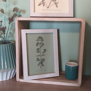 Herbarium - Origanum Vulgare - dried flowers - natural decoration - boho - pressed flowers