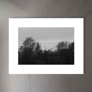 fine art black and white photographic print, landscape with trees