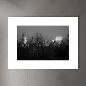 Fine art black and white photographic print, landscape with reeds and city lights of Hamburg