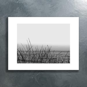 fine art black and white photographic print, landscape on the Tuscan beach, blades of grass on the seashore