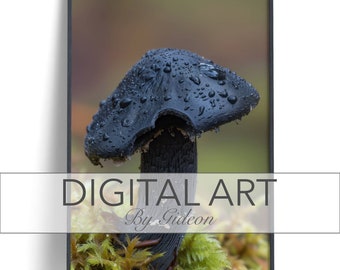 Panther cap fungus macro photo. Brighten up your bedroom, dining or living area or office.
